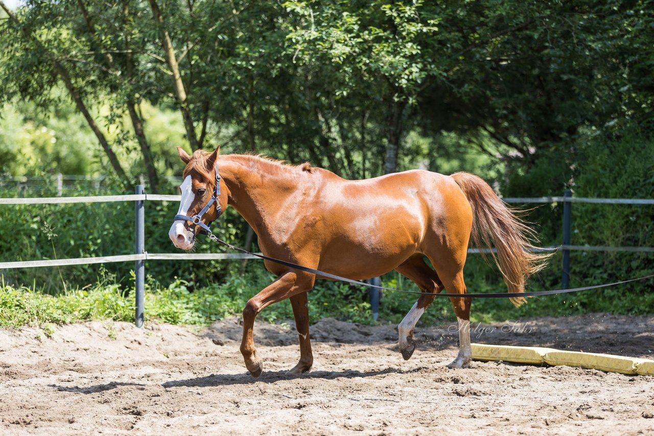 Bild 152 - Vivi